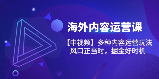 中视频运营攻略 风口掘金 101节揭秘多玩法-九零创业网