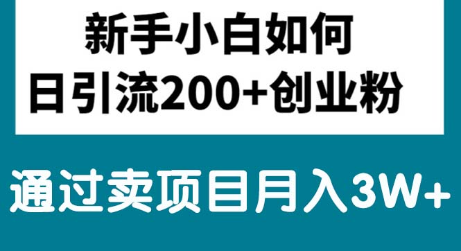 小白日引流200+ 月入3W+项目轻松卖