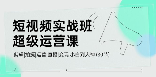 短视频运营全攻略 从零到高手的30课速成班