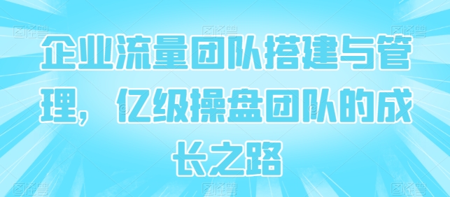 亿级流量团队打造 亿级操盘成长秘籍
