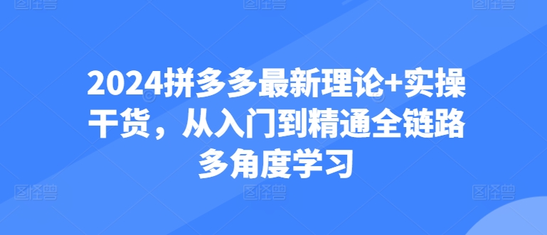 2024拼多多实战攻略 从新手到高手 全面解析实操技巧-九零创业网