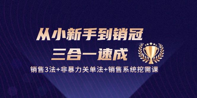 新手速成销冠 三合一销售秘籍27课全解-九零创业网