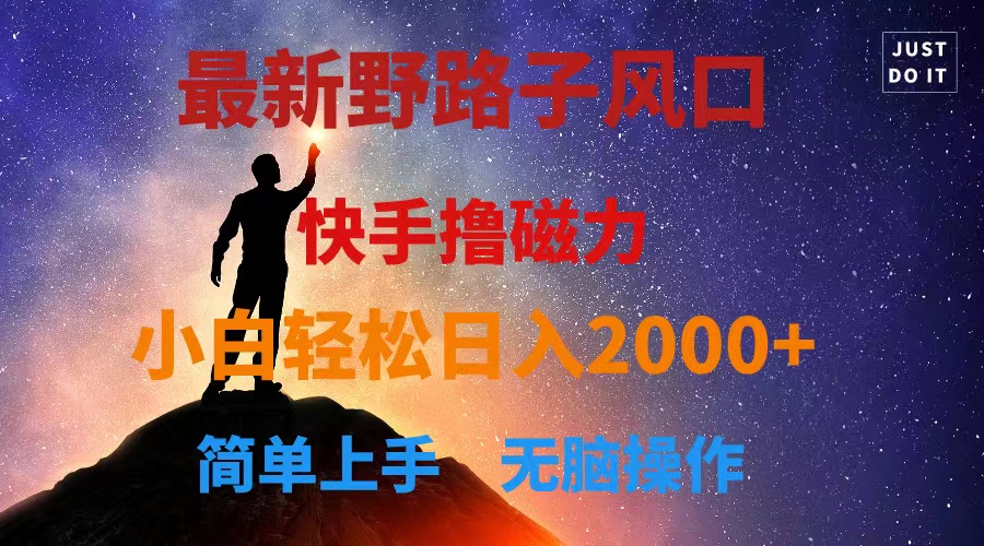 快手新玩法 磁力野路子 小白日赚2000+揭秘-九零创业网