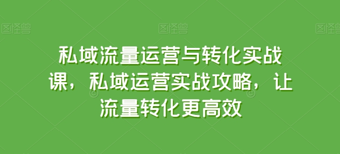 私域流量转化秘籍 实战攻略 高效转化技巧一网打尽-九零创业网