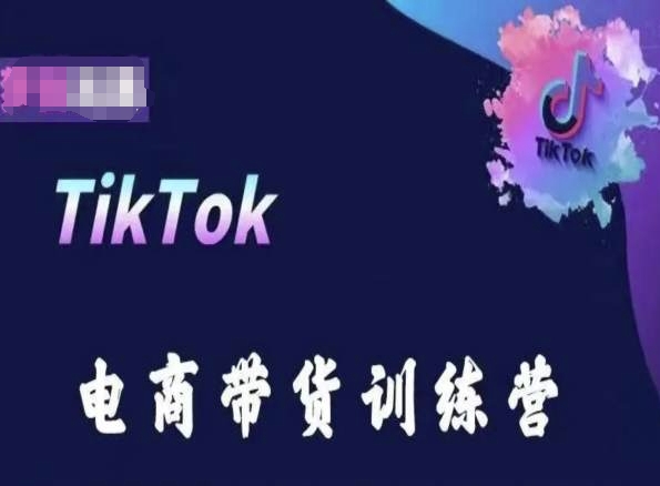 TikTok电商新势力 跨境掘金训练营 潮流带货一步到位-九零创业网