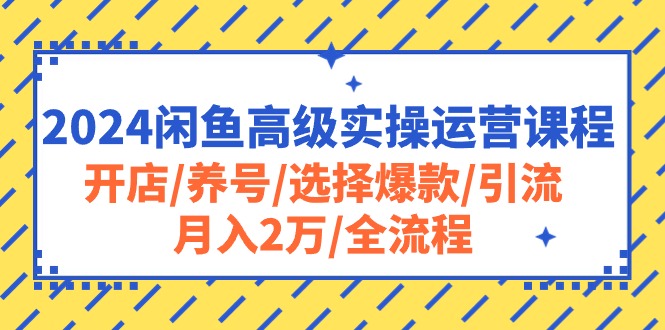 2024闲鱼高阶运营秘籍 月入2万 全链路实操教学-九零创业网