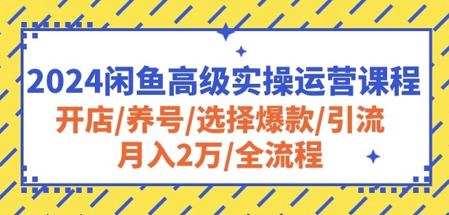 2024闲鱼高级运营秘籍 月入2万 全链路实操教学-九零创业网