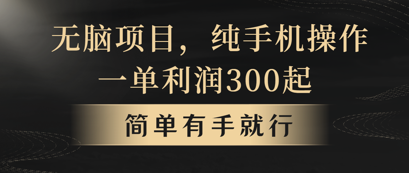 轻松月入5万+ 无脑项目揭秘 一单赚百元-九零创业网