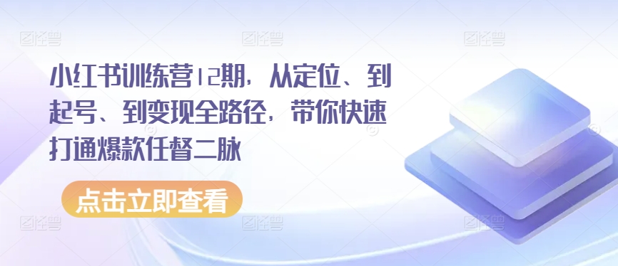 12期小红书训练营 爆款打造全攻略 速成变现达人-九零创业网