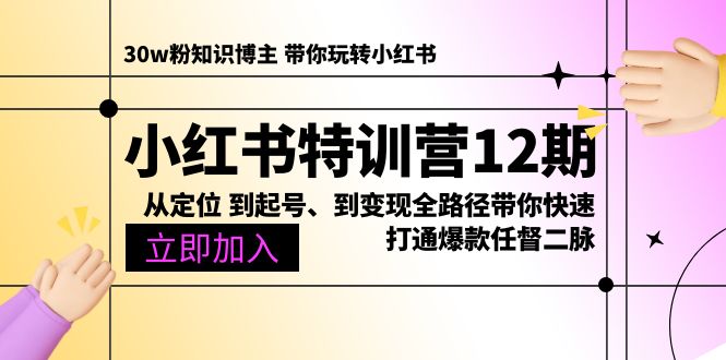小红书特训营12期 爆款起号变现全攻略 速学爆款秘籍-九零创业网