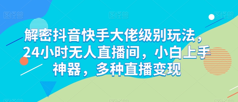 抖音快手大佬24小时直播秘籍 小白快速变现指南-九零创业网