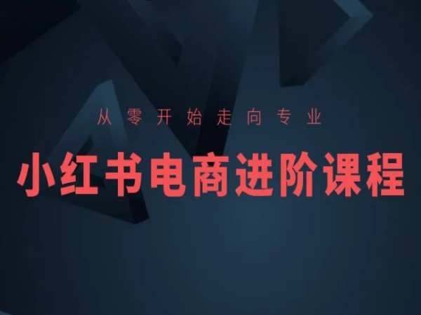 从零到专业 小红书电商进阶秘籍速成课
