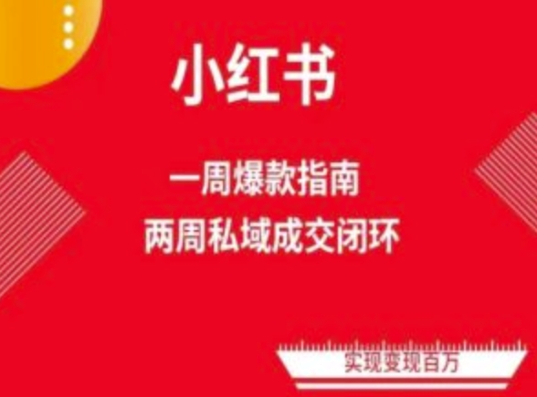 两周掌握小红书电商 爆款课程免费流量变现秘籍-九零创业网