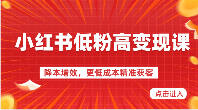小红书流量密码 低成本高转化 精准获客新攻略-九零创业网