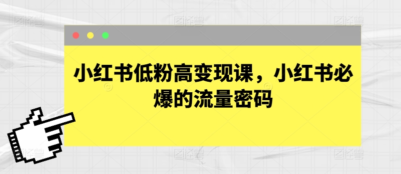 小红书爆款秘籍 低粉高变现 流量密码揭秘
