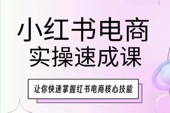 小红书电商速成秘籍 掌握核心技能 快速上手-九零创业网