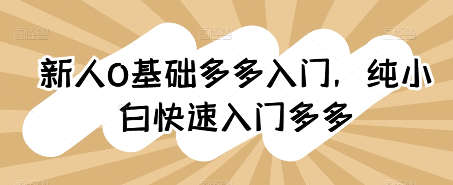多多平台小白速成指南 快速上手无压力