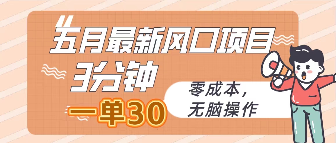 五月风口项目 日赚300+ 零成本轻松操作