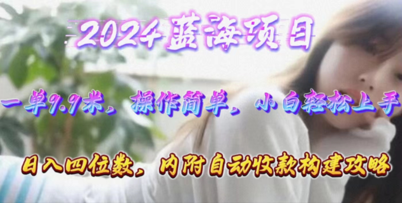 轻松日入四位数 小白也能轻松上手的9.9元蓝海市场