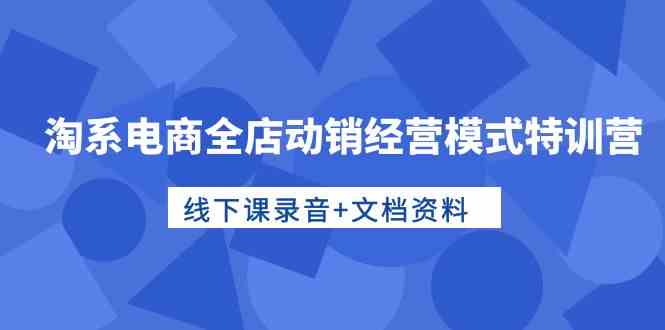 淘系电商全店动销特训营 线下精华录音与资料集锦-九零创业网