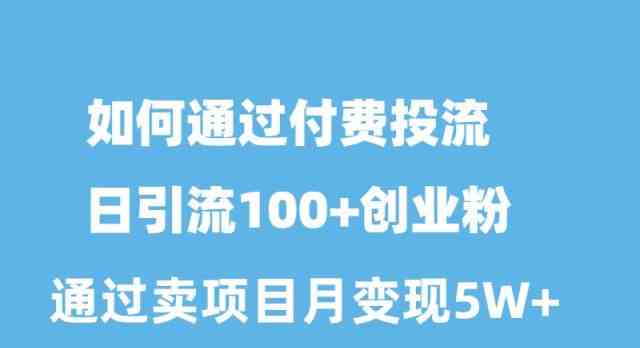 付费投流日引流 创业粉月入5万+