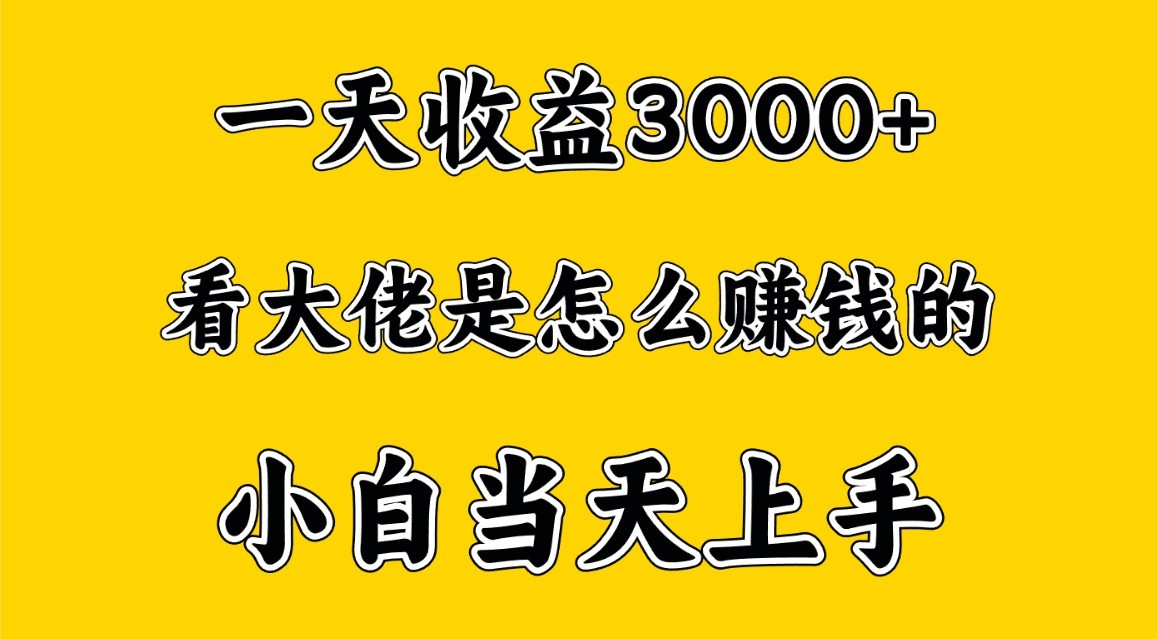 日赚3000+秘籍 小白速成 穷人逆袭新商机-九零创业网
