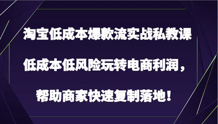 淘宝爆款私教课 低成本高利润 电商盈利速成攻略-九零创业网