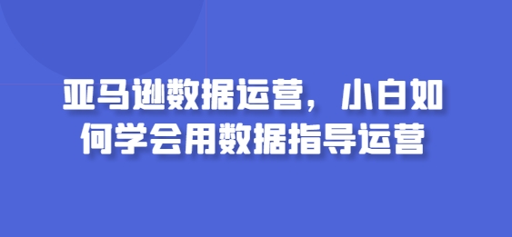 数据小白速成指南 用数据驱动亚马逊运营