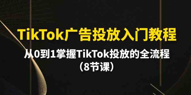 TikTok广告投放实战课 8步从新手到专家