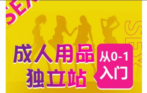 从零起步 成人用品独立站全流程教学与七大热销站推荐