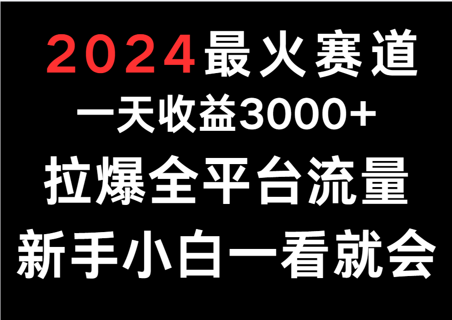 2024热门赛道 日赚3000+ 流量爆表 小白速成攻略-九零创业网