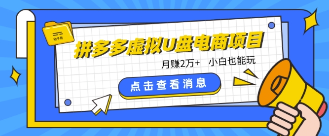 拼多多虚拟U盘项目 小白月入2万+ 轻松上手