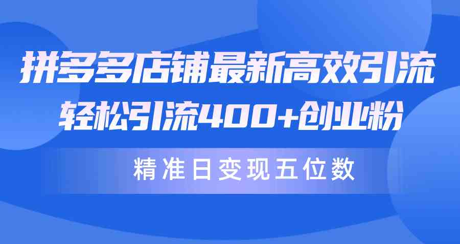 拼多多店铺新攻略 日吸粉400+ 变现轻松破五万-九零创业网