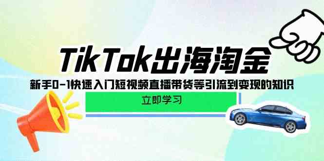 TikTok新手速成 短视频直播带货 引流变现攻略-九零创业网