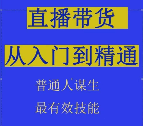 抖音直播带货技巧 从入门到精通 普通人赚钱必备技能