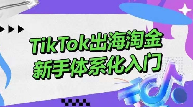 TikTok新手速成 短视频变现全攻略 零基础入门-九零创业网