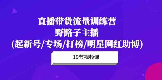 直播带货流量特训营 野路子主播19课 明星网红助力翻盘-九零创业网