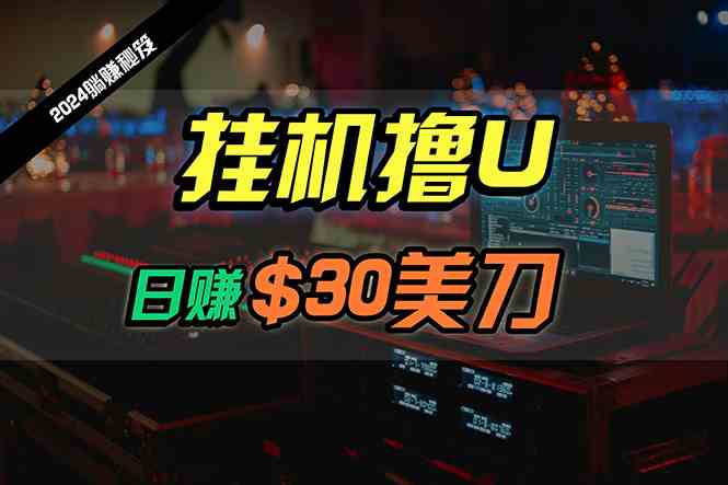 2024新挂机项目 日赚30美元 无人值守批量操作