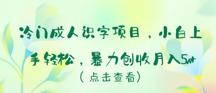 冷门识字项目 小白速成月入5万+-九零创业网