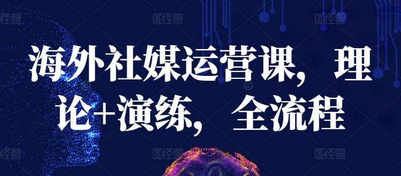 海外社媒运营全攻略 理论精讲+实战演练 一步到位