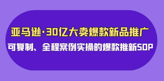 30亿爆款秘籍 实操SOP打造新品爆款-九零创业网