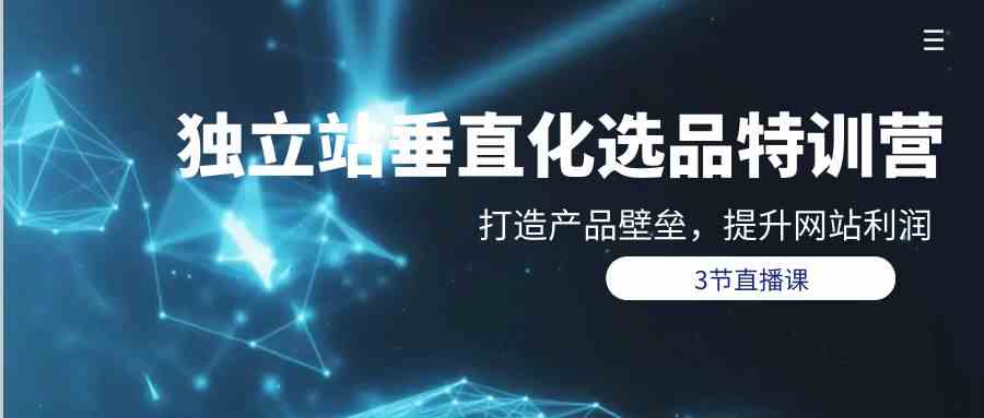 垂直选品策略课 打造独立站壁垒 盈利翻倍秘籍-九零创业网