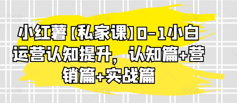 小红薯运营全攻略 认知升级+营销技巧+实战演练-九零创业网