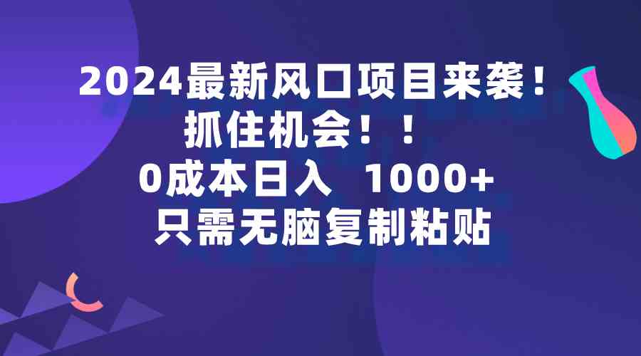 2024风口项目来袭 手机赚钱 日入千元 轻松上手-九零创业网