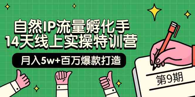 14天自然IP流量特训营 打造月入5万+爆款课程-九零创业网