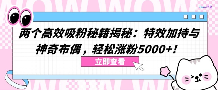 特效加持布偶魔法 轻松涨粉5000+-九零创业网