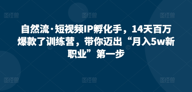 14天打造自然流爆款 开启月入5万短视频新职业之旅-九零创业网