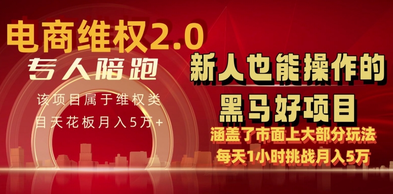 电商维权4.0月入5万+ 每日仅需1小时 新手速成秘籍-九零创业网