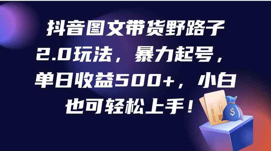 抖音图文带货新攻略 野路子2.0 小白日入500+