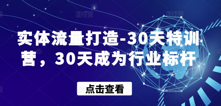 30天流量特训营 速成行业流量标杆-九零创业网